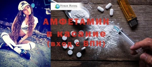 индика Абинск