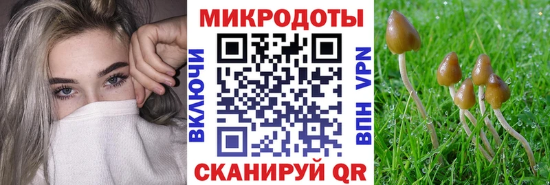 Галлюциногенные грибы Magic Shrooms  блэк спрут онион  Удомля  как найти наркотики 